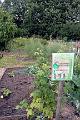 Open Allotments and Gardens